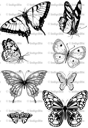 Butterfly Collection - Digi